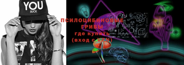 кокс Бородино