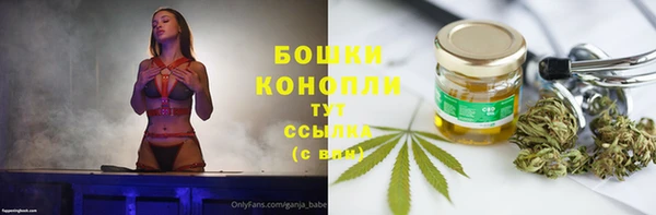 PSILOCYBIN Богородицк