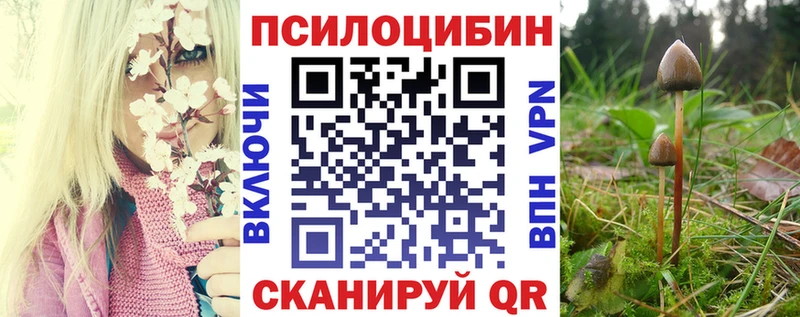 Галлюциногенные грибы Psilocybe  Вологда 